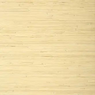 Raffia Palm T24065