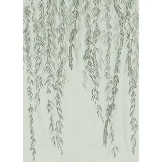Murmures D Automne 200157103