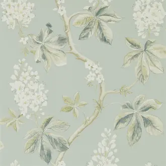 Chestnut Tree Grey Blue Sage 215708
