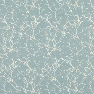 Acacia FR B7758-04