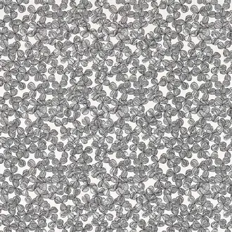 Chance FP099003