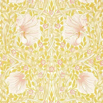 Pimpernel 217065