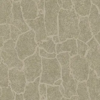 Skin 300532