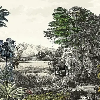 Safari DG2SAF1011-1016