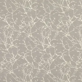 Acacia FR B7758-05