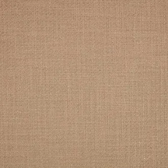 Loop II Powder