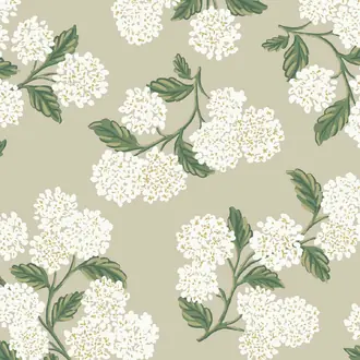 Rifle Paper Co. RP7394