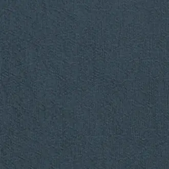 Anshu FDG2896-09
