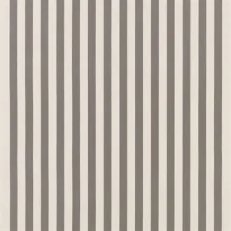 Berkeley Stripe FDG3214-03