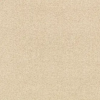 Arenite K5331-04