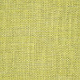 Cosia FDG2267-10