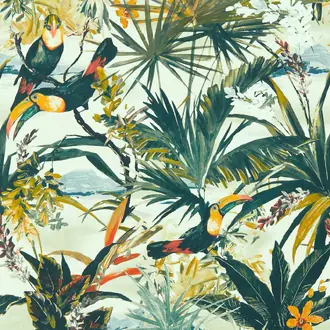 Toucan W0146-01