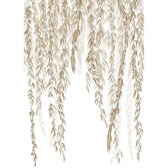 Murmures D Automne 200152703