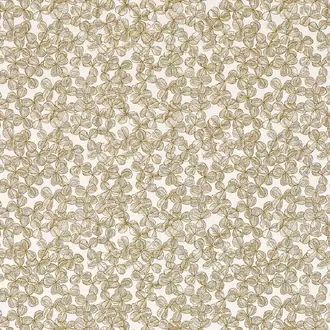 Chance FP099001
