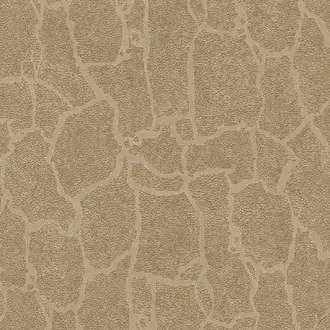 Skin 300533