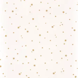 All Stars 10095 21 21