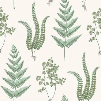Herba 7657