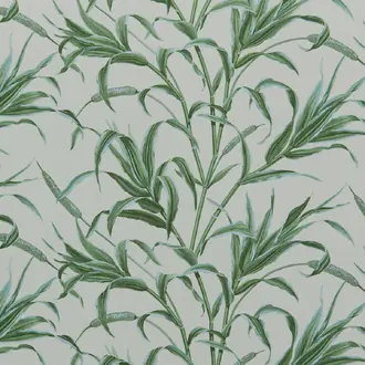 Sanibel 44171755