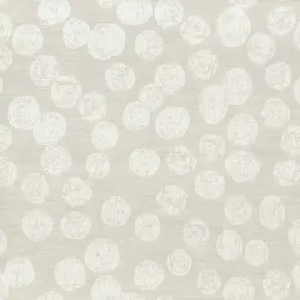 Raindrop F7003-01