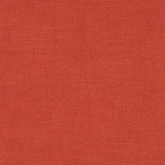 Kauri 36182773