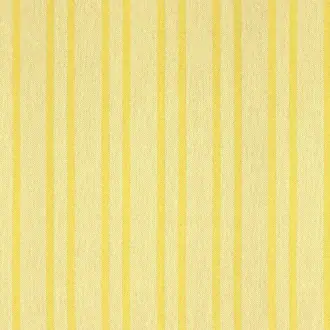 Caribbean Stripe 10449784