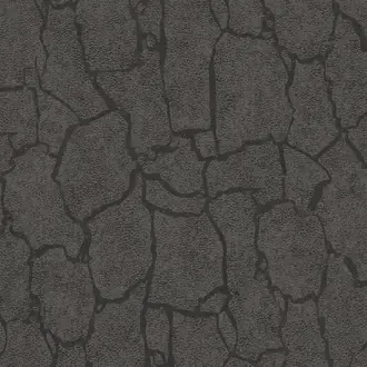 Skin 300534