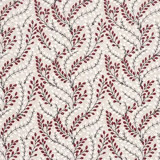 Shimla Rosso