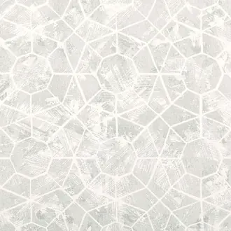 Zeta Ice W538-01