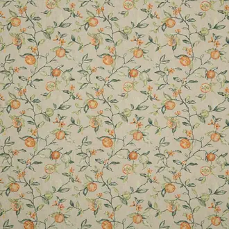 Alani Orange