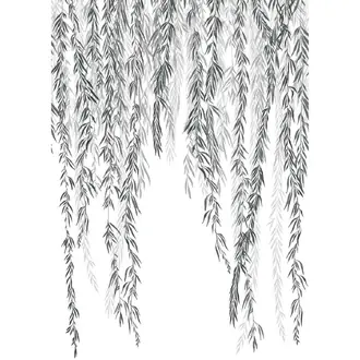 Murmures D Automne 200159403