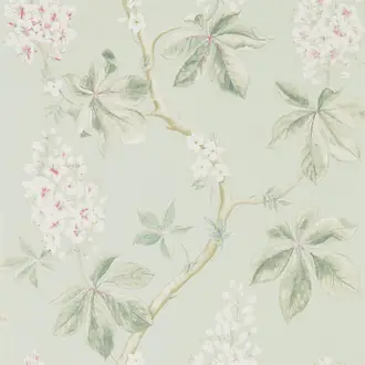 Chestnut Tree Seaspray Peony 215710