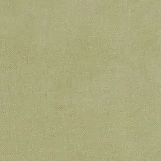 Kauri 36181652
