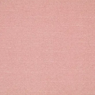 Checkers Candyfloss