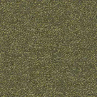 Ambiente 02 Grass