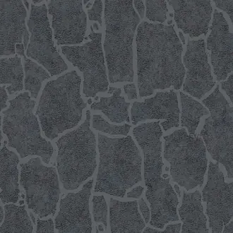 Skin 300535
