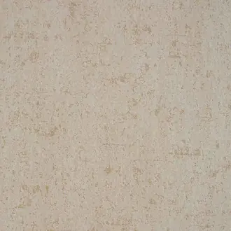 Plaster FR01022