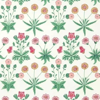 Daisy 510005
