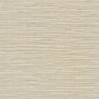 Shades of White WS71415