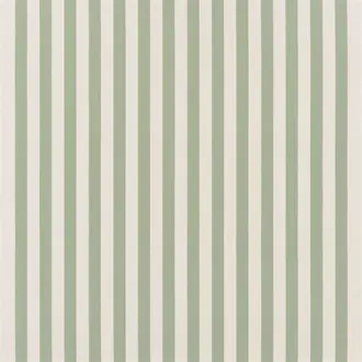 Berkeley Stripe FDG3214-06