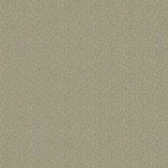 Salta LF1974C-006