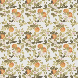 Laranja JA8102-061