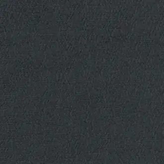 Anshu FDG2896-11