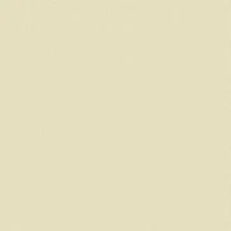 Papyrus 17361-003