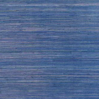 Coiba RM 110 59