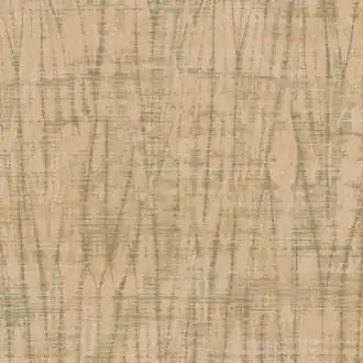 Spiga LX612