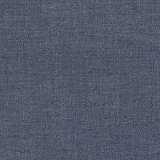 Kauri 36182111