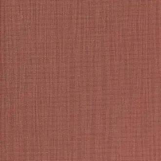 Rivulet RIV 971