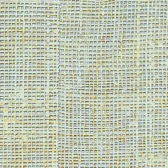 Raffia hpc CV 111 10