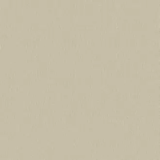 Papyrus 17361-004