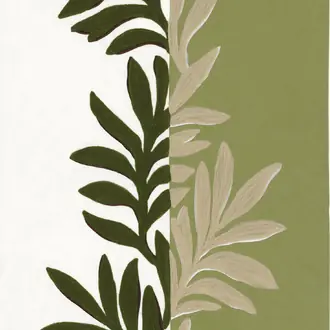 Sophora 31550224